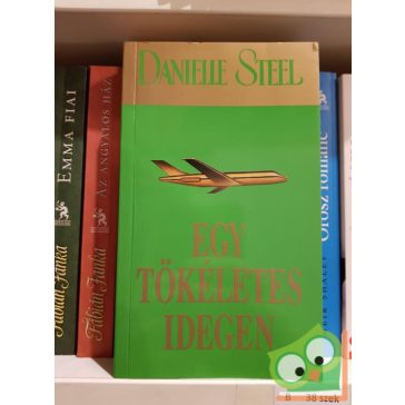 Danielle Steel: Egy tökéletes idegen