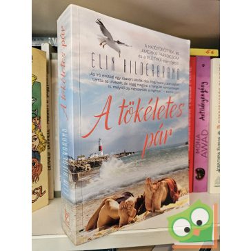 Elin Hilderbrand: A ​tökéletes pár