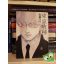 Ishida Sui: Tokyo Ghoul Vol 13. (japán nyelvű manga)