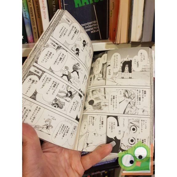 Ishida Sui: Tokyo Ghoul Vol 6. (japán nyelvű manga)