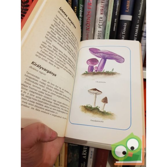 Tolnai Kálmán: Erdő, mező ajándékai