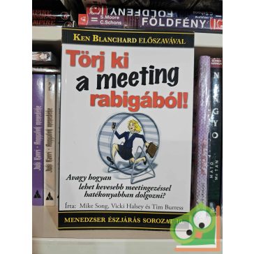   Mike Song - Vicki Halsey - Tim Burress: Törj ki a meeting-rabigából! (Menedzser észjárás 10.)