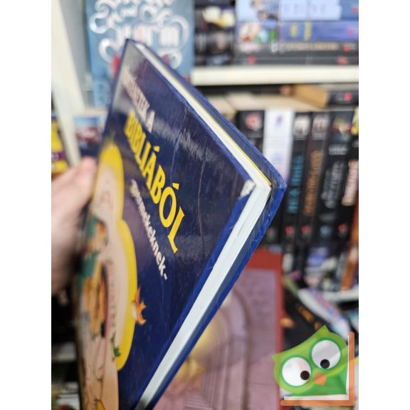 Történetek ​a Bibliából – gyermekeknek 