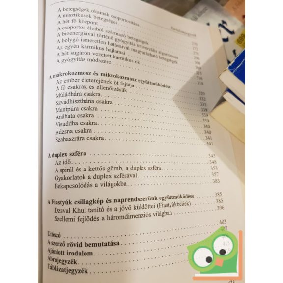 Bíró Dénes: A tudatra ébresztés energiája (Ritka)