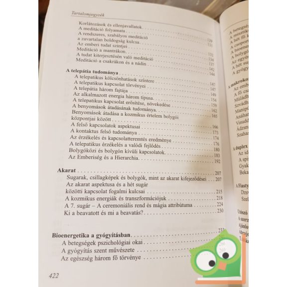 Bíró Dénes: A tudatra ébresztés energiája (Ritka)