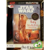 Jason Fry: Rey túlélési útmutatója
