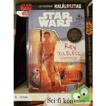 Jason Fry: Rey túlélési útmutatója