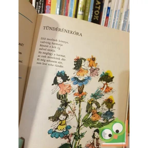 Rigó Béla: Tündériskola