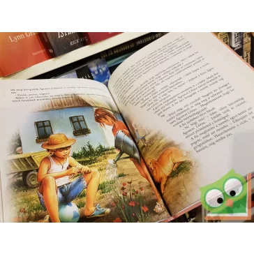 Dobos Edit: Tündérmanók meséi