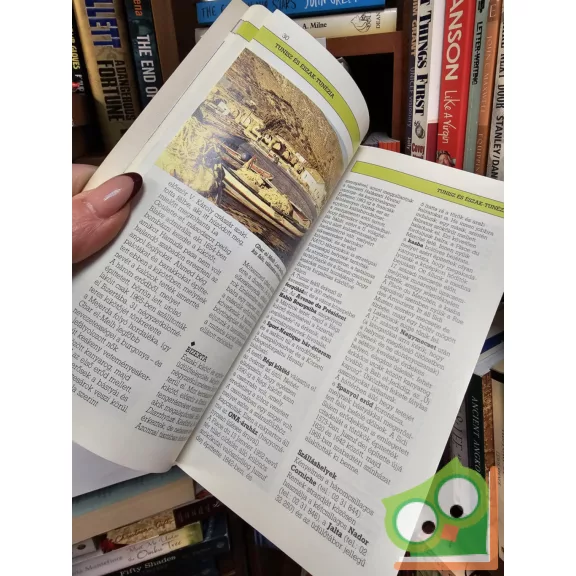 Michael Tomkinson: Tunézia (AA útikönyvek)