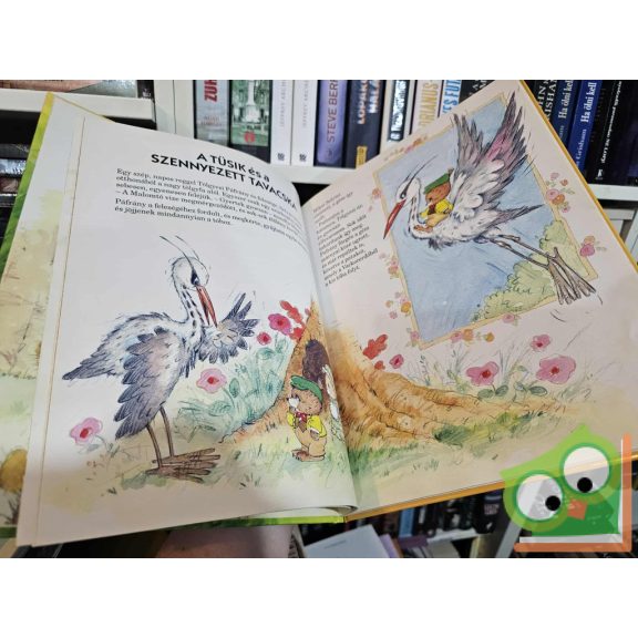 Terry Barber: Tüsimesék - A hónyuszi, Az őzike bánata és más történetek