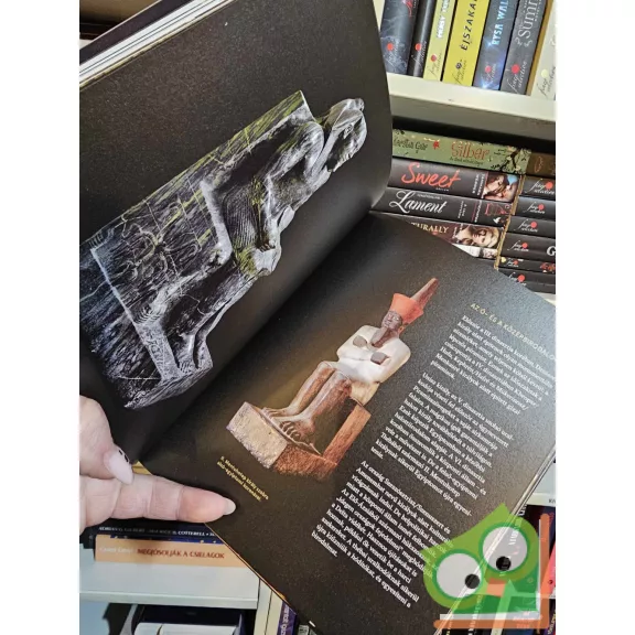 Tutanhamon rejtélye és kincsei