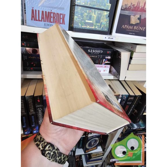 Ken Follett: A tűzoszlop (Kingsbridge-trilógia 3.)