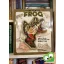 Aimee Bakken: Uncover a Frog  (3D)