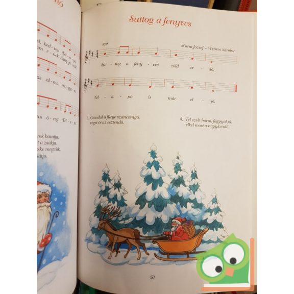 Füzesi Zsuzsa: Ünnepekre