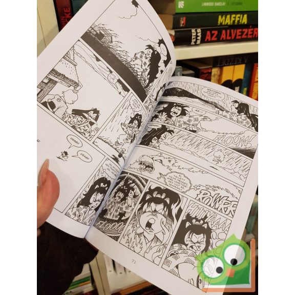 Stan Sakai: Usagi Yojimbo 22. - Tomoe története