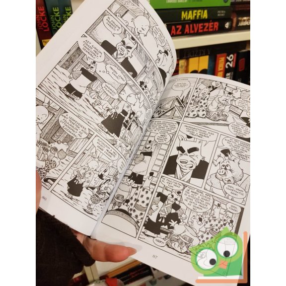 Stan Sakai: Usagi Yojimbo 8. - A halál árnyai (utolsó darabok)