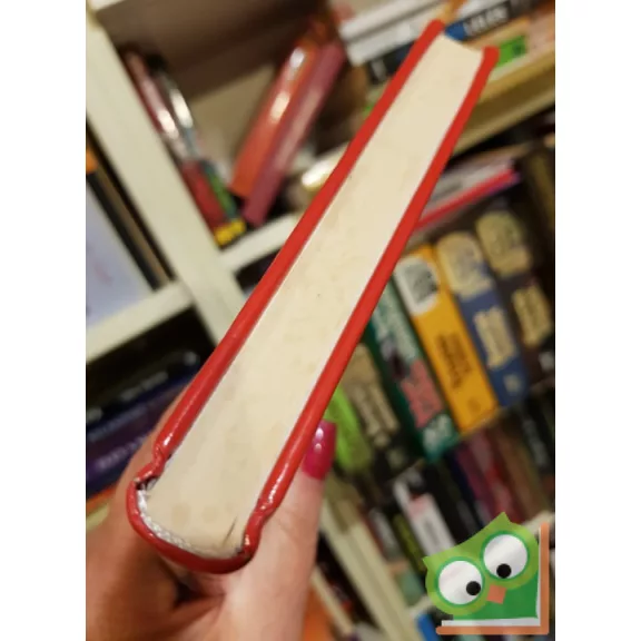 Susanne Walter, Christine M. Huber: Üzleti etikett vagány nőknek