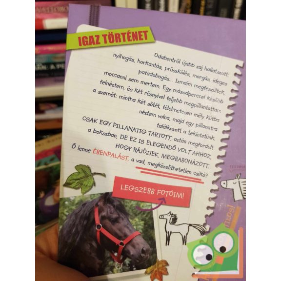 Mathilde Bonetti: A vad csikó (Martina naplója 3.) (Olvasni jó!)