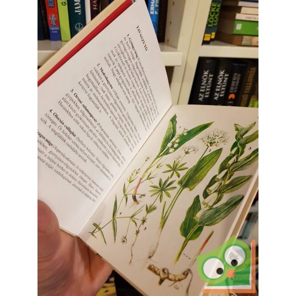 Horánszky András: Vadvirágok 1. (Búvár zsebkönyvek)