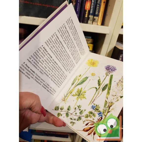 D. Nagy Éva: Vadvirágok 2. (Búvár zsebkönyvek)