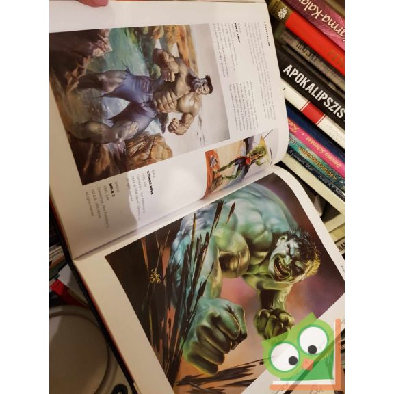 Boris Vallejo - Julie Bell: Szuperhősök