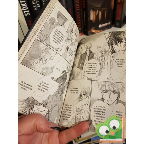Hino Matsuri: Vampire Knight 10. (Vampire Knight 10.) (magyar nyelvű manga)