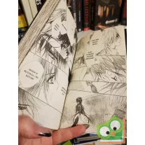   Hino Matsuri: Vampire Knight 11. (Vampire Knight 11.) (magyar nyelvű manga)
