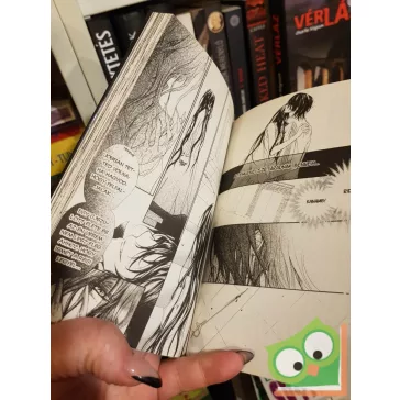   Hino Matsuri: Vampire Knight 13. (Vampire Knight 13.) (magyar nyelvű manga)