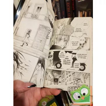   Hino Matsuri: Vampire Knight 14. (Vampire Knight 14.) (magyar nyelvű manga)