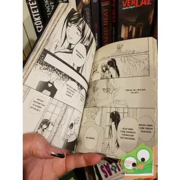   Hino Matsuri: Vampire Knight 15. (Vampire Knight 15.) (magyar nyelvű manga)