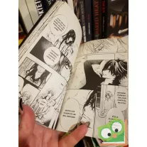   Hino Matsuri: Vampire Knight 16. (Vampire Knight 16.) (magyar nyelvű manga)