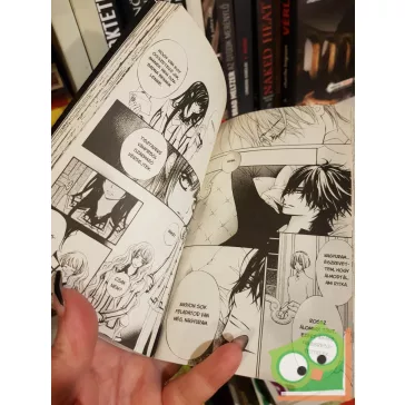   Hino Matsuri: Vampire Knight 16. (Vampire Knight 16.) (magyar nyelvű manga)