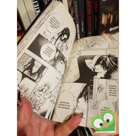 Hino Matsuri: Vampire Knight 16. (Vampire Knight 16.) (magyar nyelvű manga)