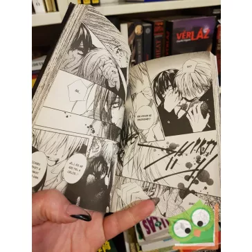   Hino Matsuri: Vampire Knight 19. (Vampire Knight 19.) (magyar nyelvű manga)