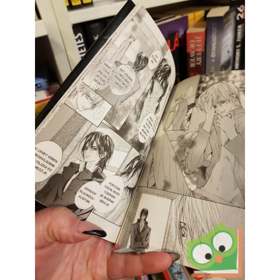 Hino Matsuri: Vampire Knight 3. (Vampire Knight 3.) (magyar nyelvű manga)