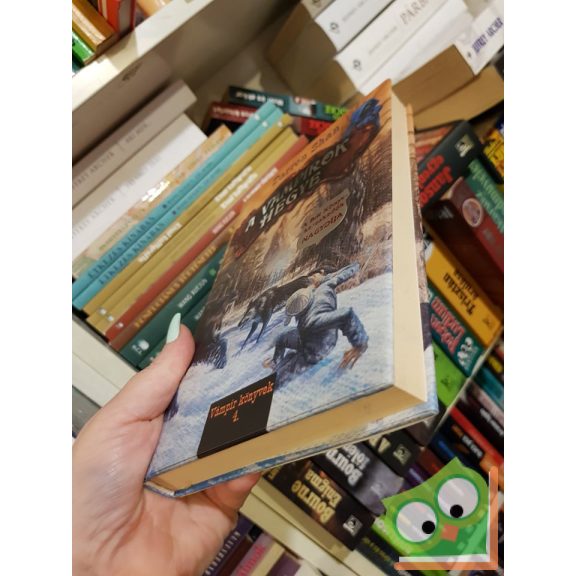 Darren Shan: A Vámpírok Hegye (Darren Shan regényes története 4.)  (Ritka)