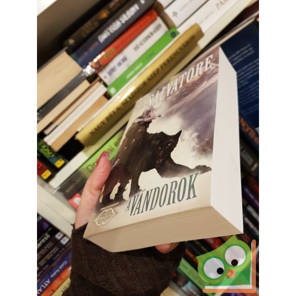R. A. Salvatore: A Vándorok (The Sundering 1.) (Drizzt legendája 24.) (Dungeons and Dragons ) (Ritka)
