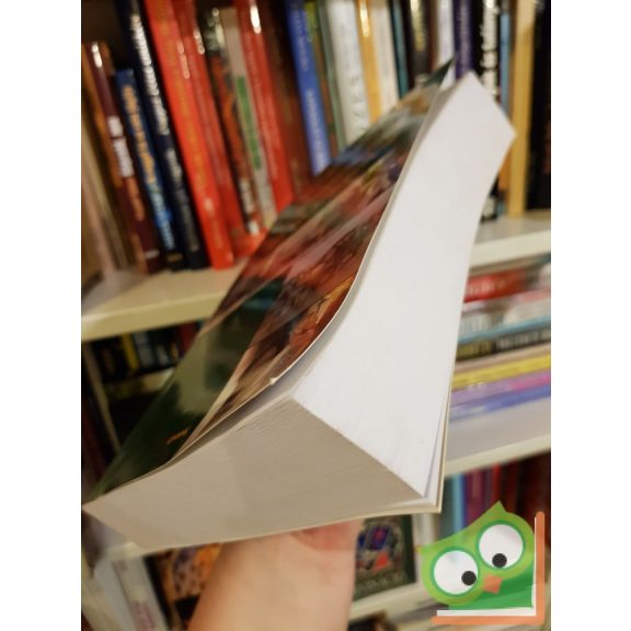 Váradi Mónika Mária (szerk.): Kistelepülések lépéskényszerben