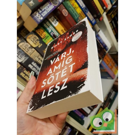 Riley Sager: Várj, amíg sötét lesz