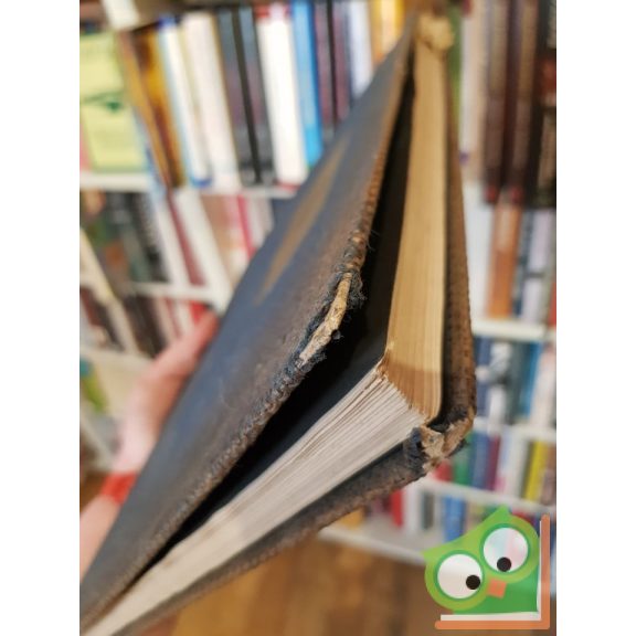 Varjú Elemér: Magyar várak