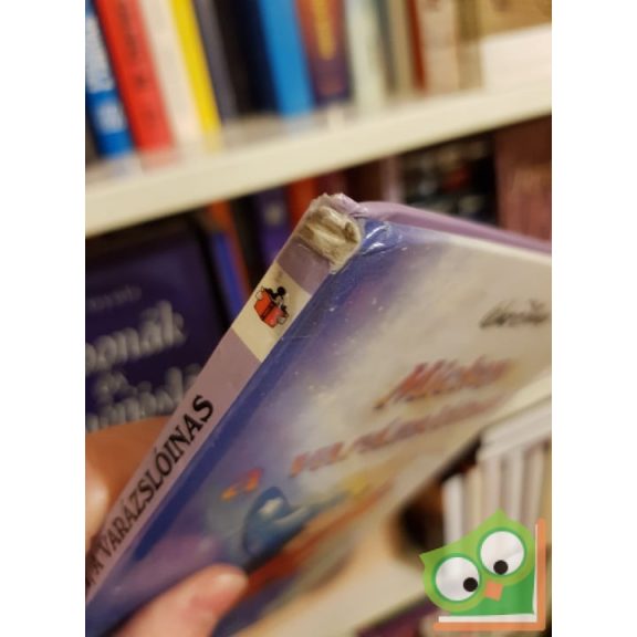 Walt ​Disney: Mickey, a varázslóinas