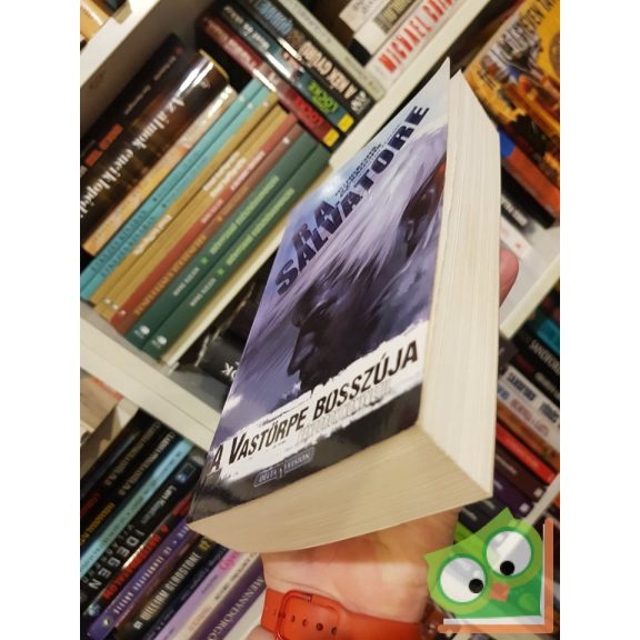 R. A. Salvatore: A Vastörpe bosszúja (Vándorok könyve 3.) (Drizzt legendája 27.)