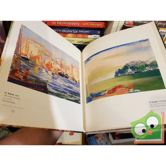 Plesznivy Edit: Vaszary János (A magyar festészet mesterei 9.)