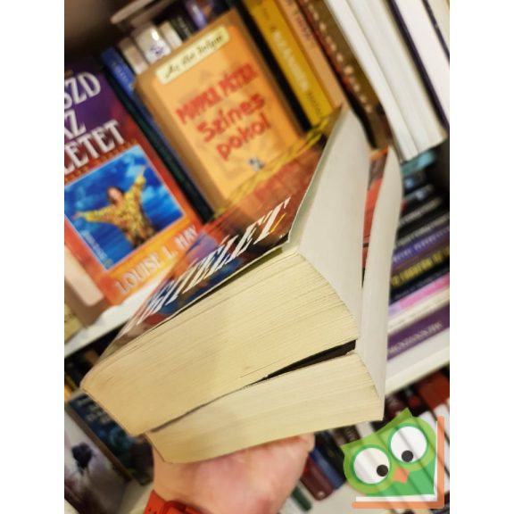 Stephen King: Végítélet l-ll. kötet