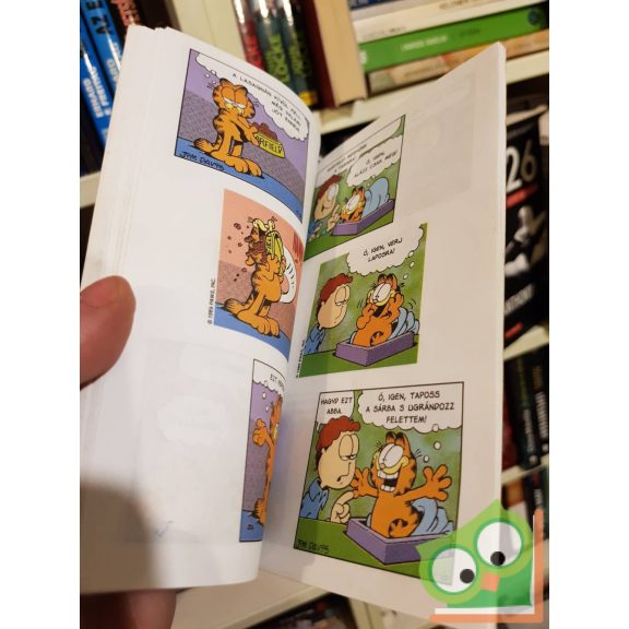 Jim Davis: Zseb-Garfield 66. Végre dirigálhatok!