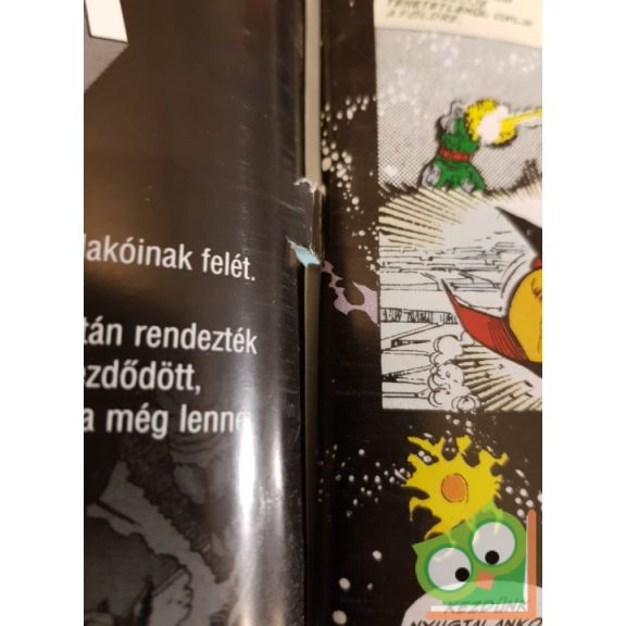 Marvel: Végtelen hatalom képregény (1 különszám, 1 sima)