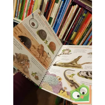   Angela Weinhold: Veszélyes állatok - Mit? Miért? Hogyan? 28.