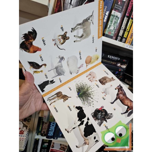 Állatok - vidám, képes lapozgató (keménylapos, új)