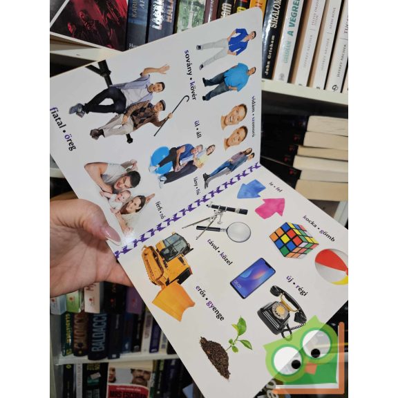 Ellentétek - vidám, képes lapozgató (keménylapos, új)